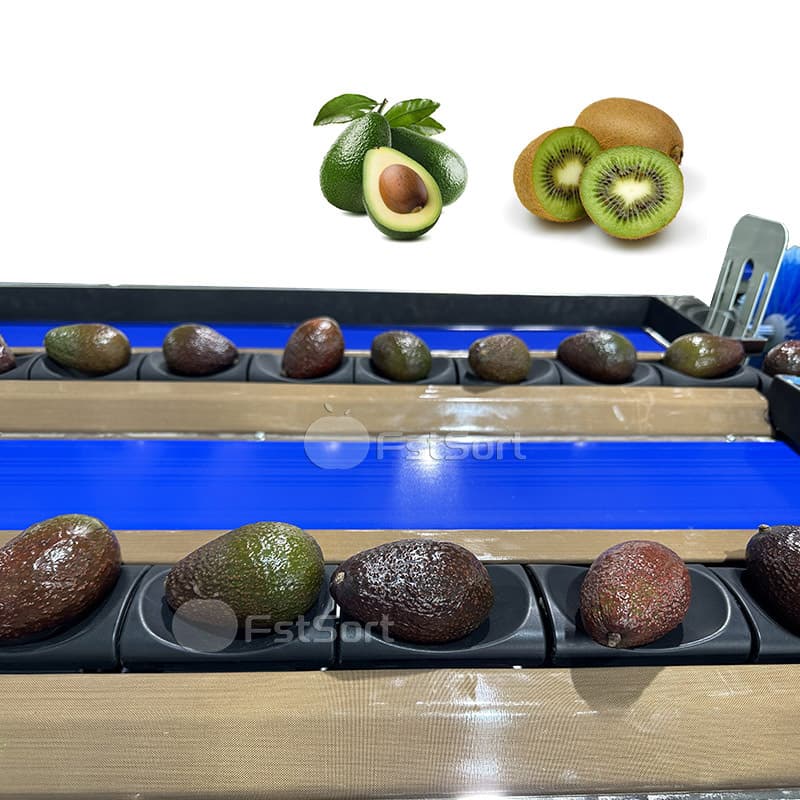 images/1762930773178avocado grader.jpg